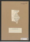 Triceratium incisum A. Schm. (de-Toni-Nr.: Genus 140, Species 3847) Zeichnungen Sammlung Grunow Nr. 7345 (NHMW-BOT-W0376393)